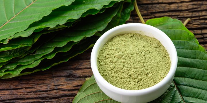 Why EVERYONE Should Care About the Government’s War on Cannabis and Kratom